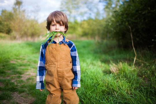 Young boy in overalls with a grass mustache