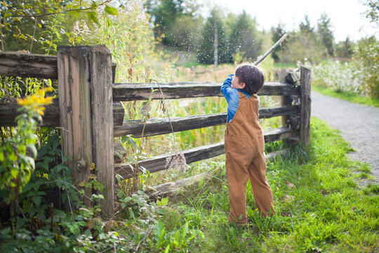 A young boy wearing overalls uses a tree branch to hit a plant