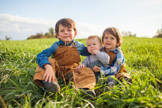 Three young brothers relaxing in a grassy field