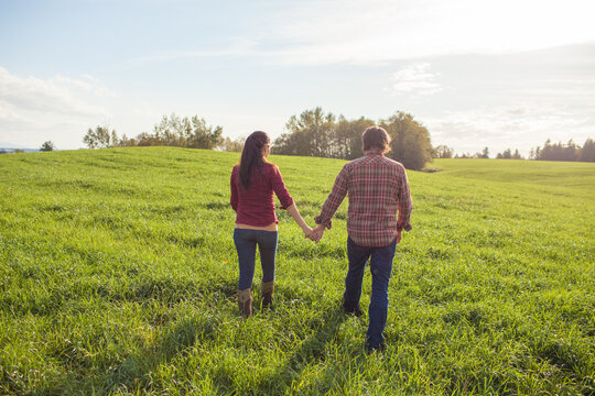 Couple holding hands walking in a green field