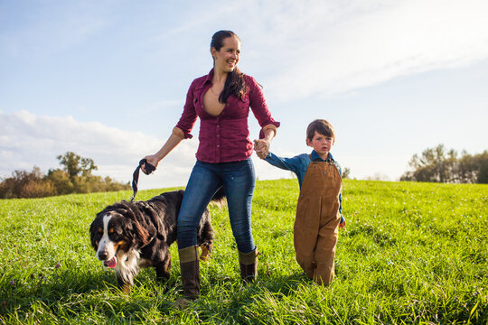 Mother and son walking bernese mountain dog in field