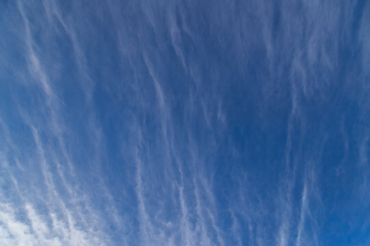 Wispy Cirrus Clouds Streaking Across a Clear Blue Sky