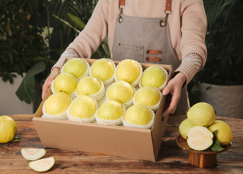 Box of Fresh Yellow Guavas Held by a Person