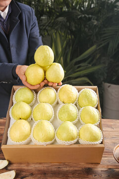 Fresh Yellow Guava Fruits in Gift Box