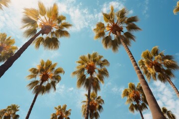 Naklejka premium Palm trees foliage and trunks against vivid blue sky creating tropical summer feeling