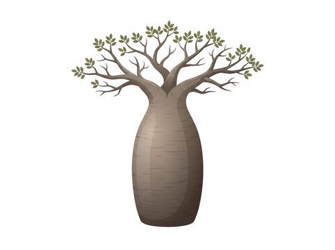 Isolated African Baobab Tree 3D Style Flat Vector Illustration on White Background