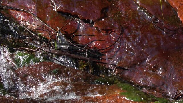Close Up of Water Flowing Over Red Sandstone and Moss