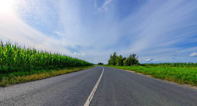 Asphalt road stretches straight ahead under blue sky
