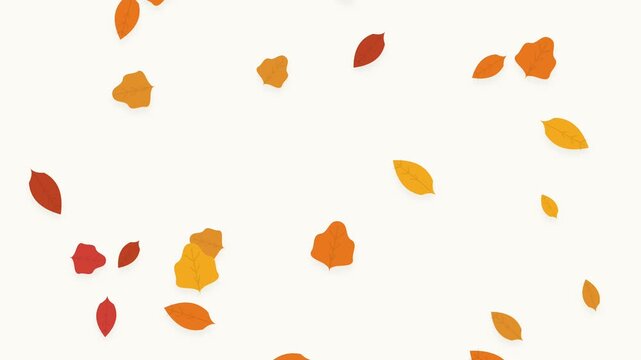 Falling autumnal leaves on a white background