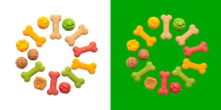 Colorful dog treats arranged in a circle pattern on white and green backgrounds transparent png