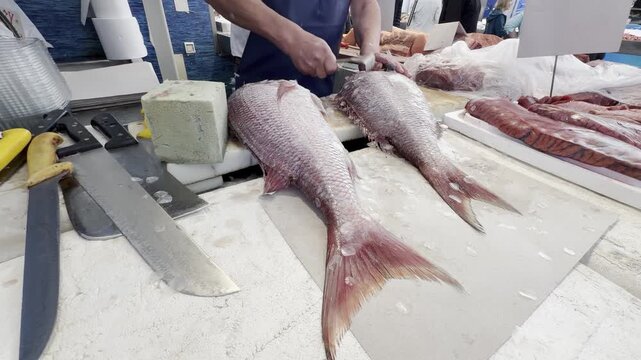 A professional fishmonger scaling a large sea bream with a special tool at a market stall