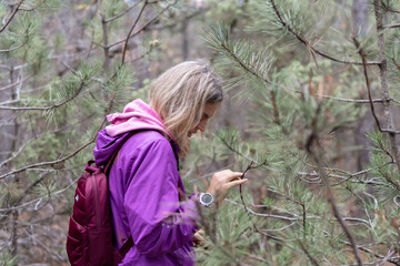 Hiking woman pine forest exploring nature in purple jacket touching needle branches © svetograph