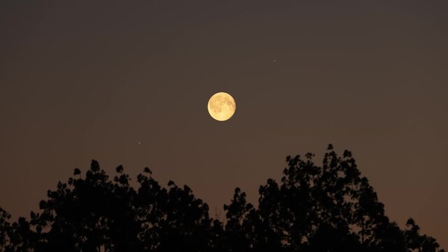 Full Moon on a twilight sky with landscape and tree silhouettes.