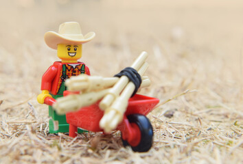 Naklejka premium Lörrach, Germany - July 29th 2026: Lego minifigure of happy farmer is doing in the natural dried grass field. Editorial illustrative image of popular plastic toy.