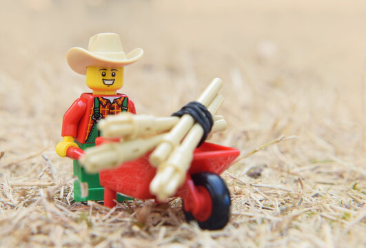 L&ouml;rrach, Germany - July 29th 2026: Lego minifigure of happy farmer is doing in the natural dried grass field. Editorial illustrative image of popular plastic toy.