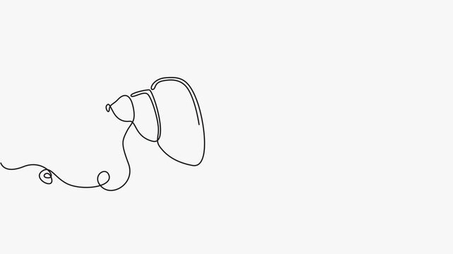 Seashell Continuous Line Drawing Animation. 