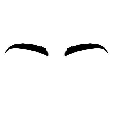 cartoon illustration of human eyebrows 
