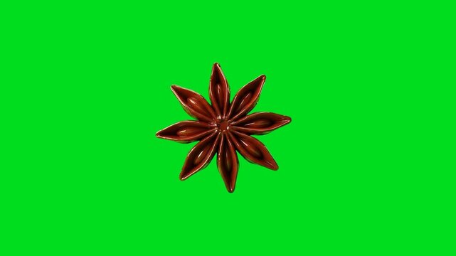 A single star anise spice pod isolated against a vibrant green background