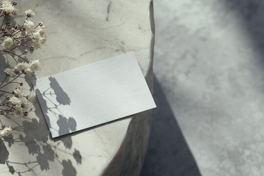 3D render of a blank white business card lying on round beige marble table with dried gypsophila flowers, soft natural sunlight, botanical window gobo shadow, copy space for stationery branding mockup