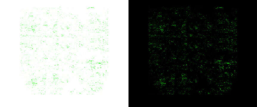Abstract green digital noise texture, matrix code pattern on black and white backgrounds, tech data stream overlay