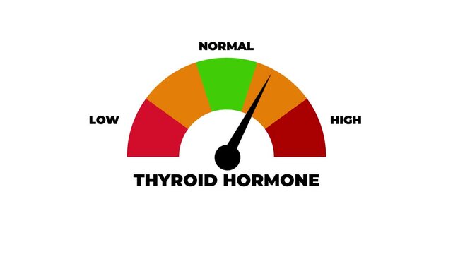 Animated thyroid hormone level meter decreasing from normal to low level, for low thyroid hormones, hormone imbalance, and thyroid health awareness.4k motion graphics video