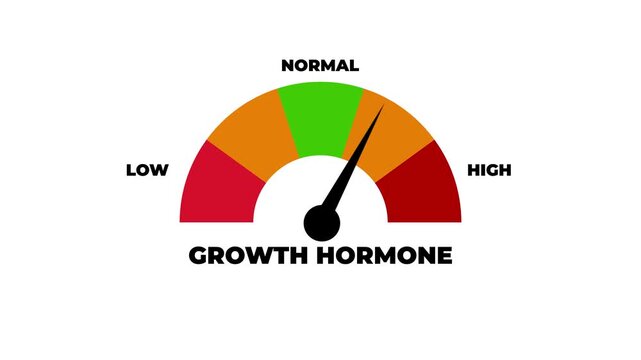 Animated growth hormone level meter increasing from normal to high level, ideal for concepts related to high growth hormone, hormone imbalance, acromegaly or gigantism.4k motion graphics video