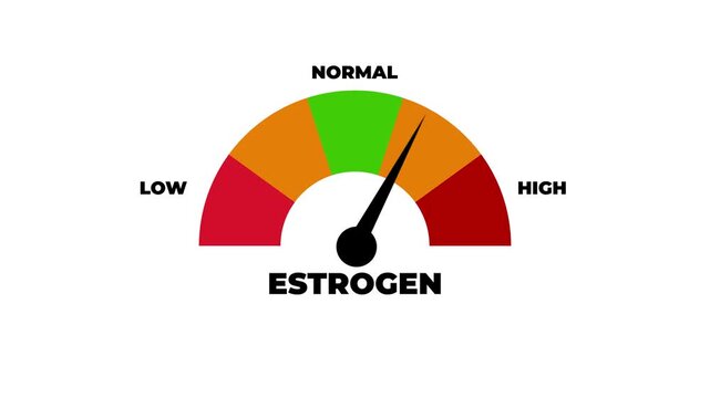 Animated estrogen level meter increasing from normal to high level for concepts related to high estrogen, hormone imbalance and women&rsquo;s health.4k motion graphics video