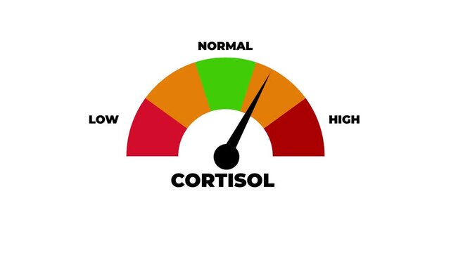Cortisol Hormone Level Meter Gauge Animation Low to High Stress Indicator.4k motion graphics video