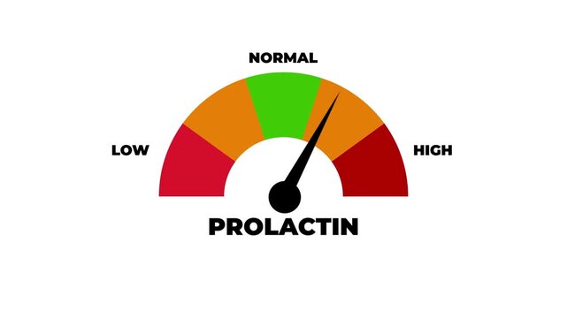 Prolactin Hormone Level Meter Gauge Animation Low to High Indicator.4k motion graphics video