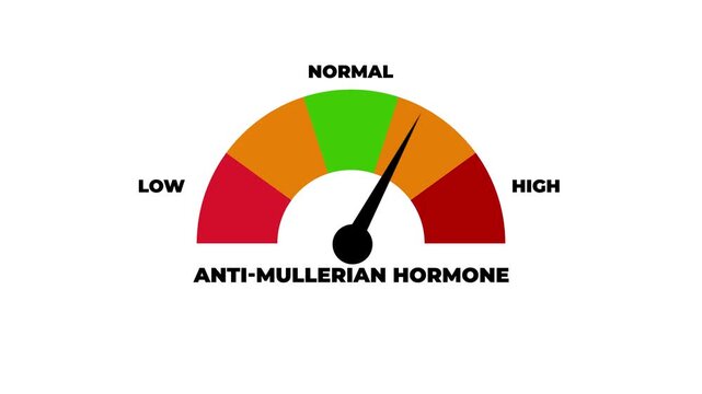Animated Anti Mullerian Hormone (AMH) level meter showing high to low measurement indicator. Ideal for ovarian reserve assessment, fertility evaluation and IVF treatment concepts.4k motion graphics