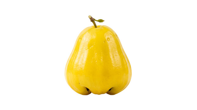 Fresh Yellow Rose Apple Isolated on White Background - Exotic Tropical Wax Apple