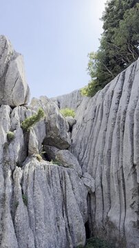 Extreme Karst Geology and Limestone Transformations Vertical Pan