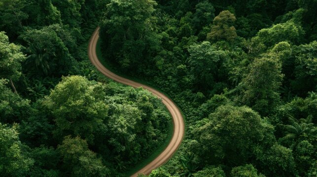 Aerial Forest Road Through Tropical Landscape for ESG Sustainability and Net Zero Strategy
