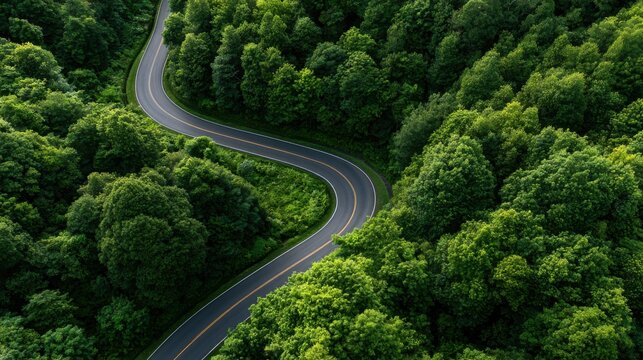 Aerial Forest Road Through Tropical Landscape for ESG Sustainability and Net Zero Strategy
