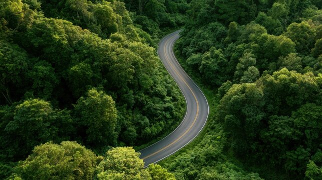 Aerial Forest Road Through Tropical Landscape for ESG Sustainability and Net Zero Strategy
