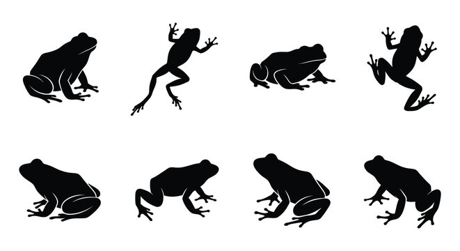 Collection of frog silhouettes in various poses against a white background