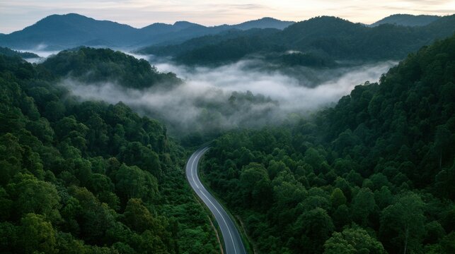 Aerial view of a winding highway cutting through lush tropical forest and mountain landscape under misty skies
