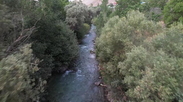 Chalus Road river channel flows straight between leafy trees, showing moving mountain water through a narrow forested corridor. Ideal for travel, tourism, and nature stock Iran Alborz.