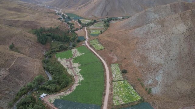 Aerial Chalus Road farmland shows bright green irrigated plots set against arid brown mountain slopes in an Iranian valley. Ideal for travel, tourism, and nature stock Iran Alborz mountains.