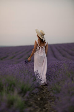 Summer dress wearing woman holding Lavandula angustifolia bouquet while standing in vibrant blooming lavender field during sunset