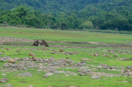 Vast Green Landscape with Boulders and Lush Mountain Background
