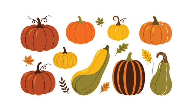 Autumn harvest vector element collection with flat icons of pumpkins winter squash gourds and leaves