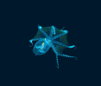 Glowing Blue Deep Sea Octopus with Bioluminescent Tentacles Isolated on Black Background