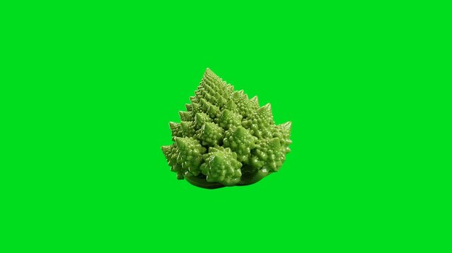 A single head of vibrant green romanesco broccoli with complex geometry
