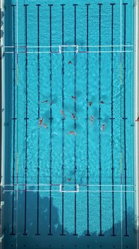 Top Down Aerial View of Water Polo Match Sprint Start Swimming to Center Ball