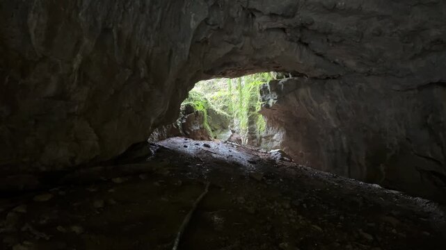 Stunning view from inside the dark Weaver Cave, known as Tkalca jama, in Rakov Skocjan, Slovenia, with sunlight revealing a green forest