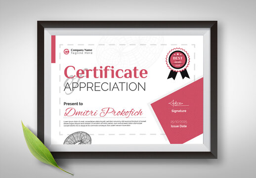 Modern Certificate Of Appreciation Layout Design