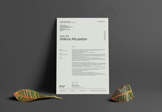 Professional Letterhead Newslatter Design Template Layout