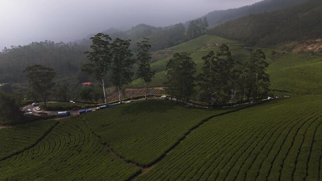 Panoramic drone shot overlooking a winding road through tea fields of Munnar