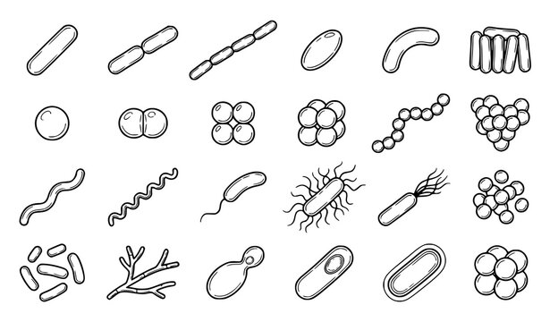 Hand Drawn Microscopic Bacteria Bacilli Cocci Medical Vector Illustration Set